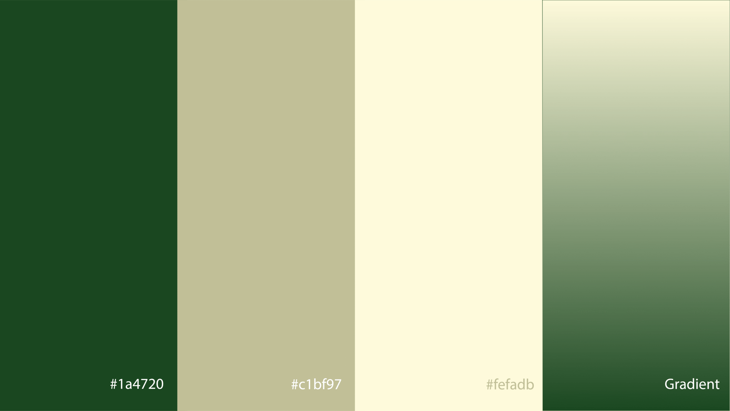 Aura Salon and Academy Color Palette